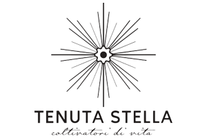 tenuta stella vini